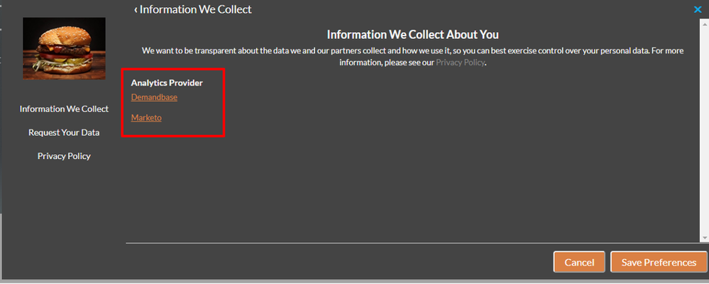 Displays example of Analytics Provider options highlighted.